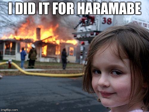 One less Gorilla... | I DID IT FOR HARAMABE | image tagged in memes,disaster girl,harambe | made w/ Imgflip meme maker