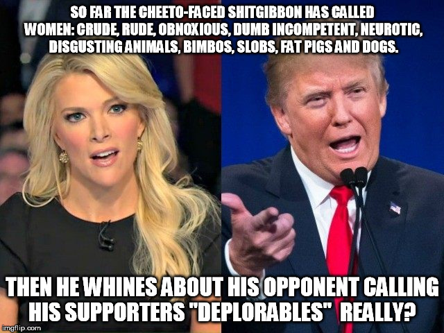 cheeto-faced shitgibbon | SO FAR THE CHEETO-FACED SHITGIBBON HAS CALLED WOMEN: CRUDE, RUDE, OBNOXIOUS, DUMB INCOMPETENT, NEUROTIC, DISGUSTING ANIMALS, BIMBOS, SLOBS, FAT PIGS AND DOGS. THEN HE WHINES ABOUT HIS OPPONENT CALLING HIS SUPPORTERS "DEPLORABLES"  REALLY? | image tagged in cheeto-faced shitgibbon,trump,women,megyn kelly | made w/ Imgflip meme maker