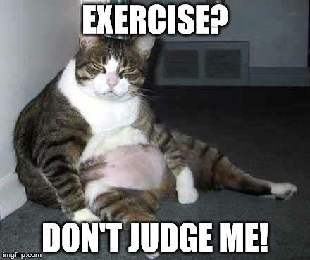 Fat cat | EXERCISE? DON'T JUDGE ME! | image tagged in fat cat | made w/ Imgflip meme maker