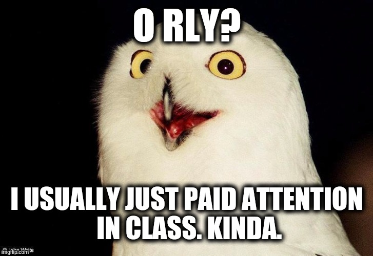 O RLY? I USUALLY JUST PAID ATTENTION IN CLASS. KINDA. | made w/ Imgflip meme maker