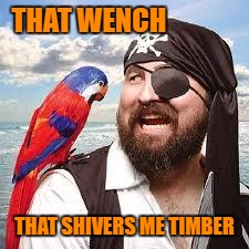 THAT WENCH THAT SHIVERS ME TIMBER | made w/ Imgflip meme maker