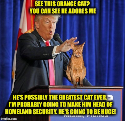 Favoritism | SEE THIS ORANGE CAT? YOU CAN SEE HE ADORES ME; HE'S POSSIBLY THE GREATEST CAT EVER. I'M PROBABLY GOING TO MAKE HIM HEAD OF HOMELAND SECURITY. HE'S GOING TO BE HUGE! | image tagged in donald trump,cat | made w/ Imgflip meme maker