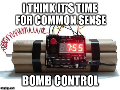 I THINK IT'S TIME FOR COMMON SENSE; BOMB CONTROL | image tagged in the bomb | made w/ Imgflip meme maker