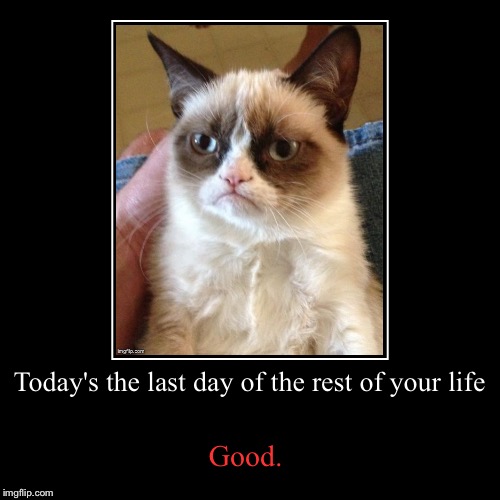 Feeling bad? In a rut? Tired of living? There's an option. | image tagged in funny,demotivationals,grumpy cat | made w/ Imgflip demotivational maker