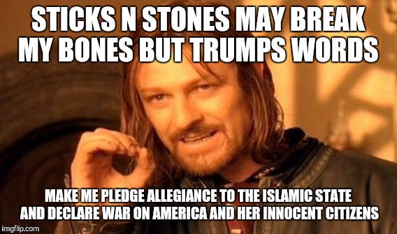 One Does Not Simply Meme | STICKS N STONES MAY BREAK MY BONES BUT TRUMPS WORDS; MAKE ME PLEDGE ALLEGIANCE TO THE ISLAMIC STATE AND DECLARE WAR ON AMERICA AND HER INNOCENT CITIZENS | image tagged in memes,one does not simply | made w/ Imgflip meme maker