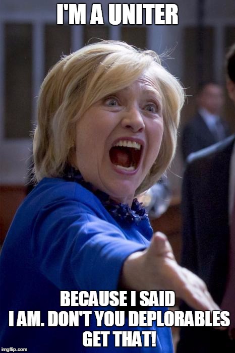 WTF Hillary | I'M A UNITER; BECAUSE I SAID I AM. DON'T YOU DEPLORABLES GET THAT! | image tagged in wtf hillary | made w/ Imgflip meme maker