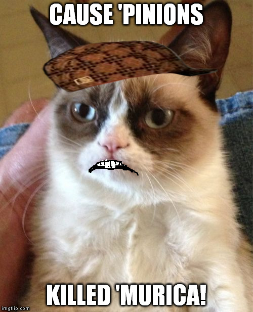Grumpy Cat Meme | CAUSE 'PINIONS KILLED 'MURICA! | image tagged in memes,grumpy cat,scumbag | made w/ Imgflip meme maker
