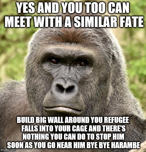 Har | YES AND YOU TOO CAN MEET WITH A SIMILAR FATE BUILD BIG WALL AROUND YOU REFUGEE FALLS INTO YOUR CAGE AND THERE'S NOTHING YOU CAN DO TO STOP H | image tagged in har | made w/ Imgflip meme maker