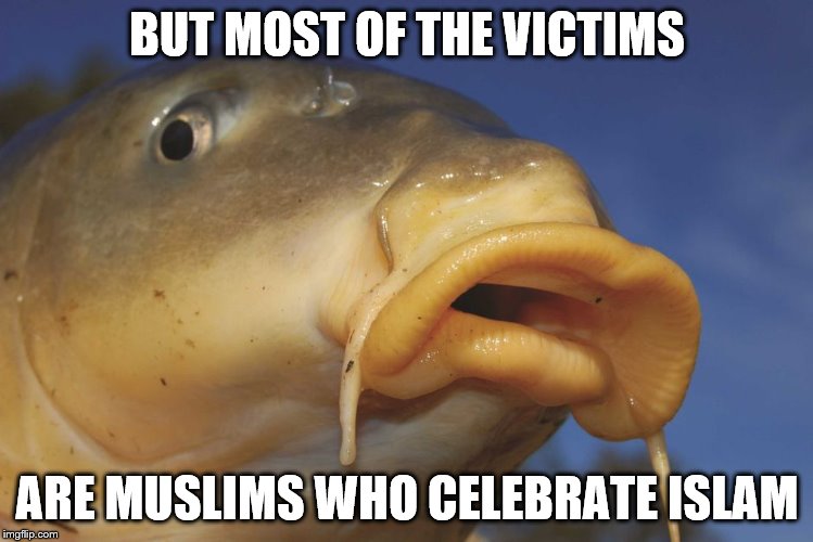 Carp | BUT MOST OF THE VICTIMS ARE MUSLIMS WHO CELEBRATE ISLAM | image tagged in carp | made w/ Imgflip meme maker