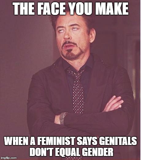Facepalm | THE FACE YOU MAKE; WHEN A FEMINIST SAYS GENITALS DON'T EQUAL GENDER | image tagged in memes,face you make robert downey jr,feminism,political correctness,political meme | made w/ Imgflip meme maker