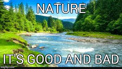 nature | NATURE; IT'S GOOD AND BAD | image tagged in nature | made w/ Imgflip meme maker