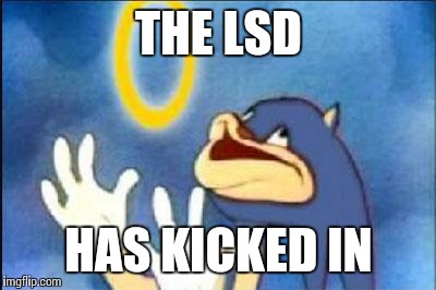 Sonic derp | THE LSD; HAS KICKED IN | image tagged in sonic derp | made w/ Imgflip meme maker