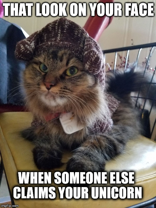 THAT LOOK ON YOUR FACE; WHEN SOMEONE ELSE CLAIMS YOUR UNICORN | image tagged in rascal sweater | made w/ Imgflip meme maker