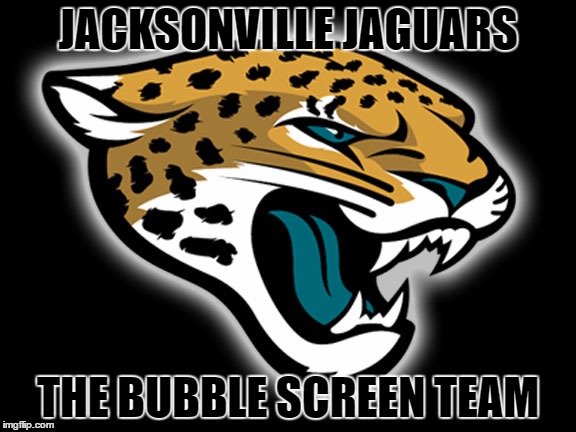 NO MORE BUBBLE SCREENS | JACKSONVILLE JAGUARS; THE BUBBLE SCREEN TEAM | image tagged in football | made w/ Imgflip meme maker
