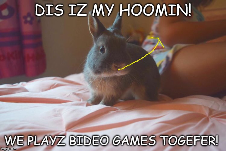Hoomin | DIS IZ MY HOOMIN! WE PLAYZ BIDEO GAMES TOGEFER! | image tagged in memes | made w/ Imgflip meme maker