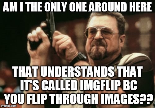 where did everybody go??? | AM I THE ONLY ONE AROUND HERE; THAT UNDERSTANDS THAT IT'S CALLED IMGFLIP BC YOU FLIP THROUGH IMAGES?? | image tagged in memes,am i the only one around here,imgflip | made w/ Imgflip meme maker