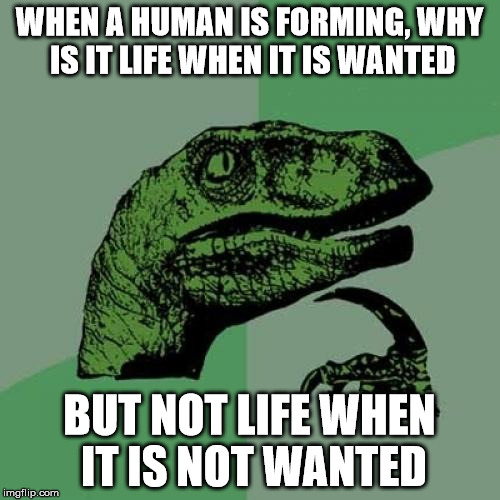 Philosoraptor Meme | WHEN A HUMAN IS FORMING, WHY IS IT LIFE WHEN IT IS WANTED BUT NOT LIFE WHEN IT IS NOT WANTED | image tagged in memes,philosoraptor | made w/ Imgflip meme maker