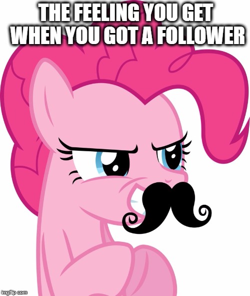 Moustache MLP | THE FEELING YOU GET WHEN YOU GOT A FOLLOWER | image tagged in moustache mlp | made w/ Imgflip meme maker