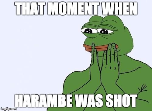 pepe | THAT MOMENT WHEN; HARAMBE WAS SHOT | image tagged in pepe | made w/ Imgflip meme maker