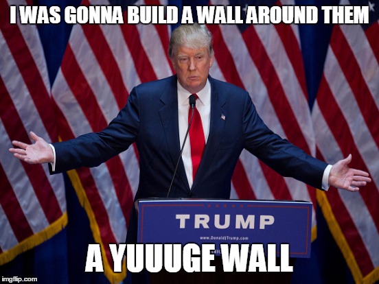 I WAS GONNA BUILD A WALL AROUND THEM A YUUUGE WALL | made w/ Imgflip meme maker