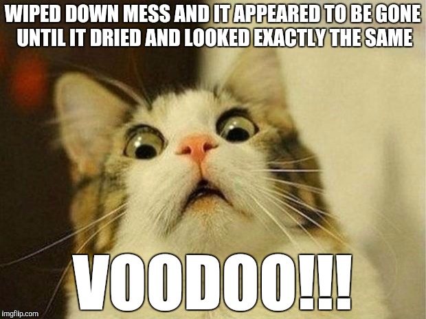 Scared Cat Meme | WIPED DOWN MESS AND IT APPEARED TO BE GONE UNTIL IT DRIED AND LOOKED EXACTLY THE SAME; VOODOO!!! | image tagged in memes,scared cat | made w/ Imgflip meme maker