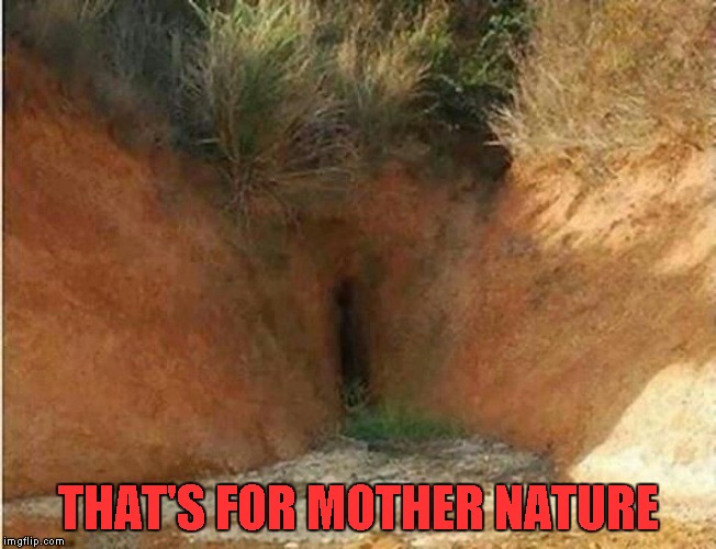 THAT'S FOR MOTHER NATURE | made w/ Imgflip meme maker