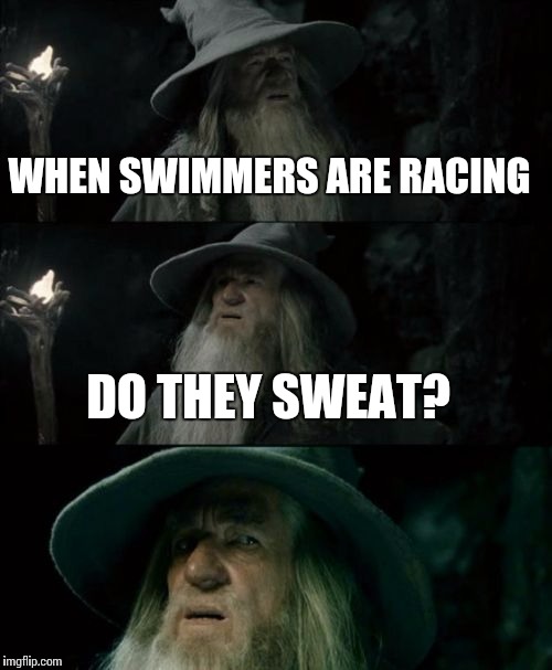 Confused Gandalf Meme | WHEN SWIMMERS ARE RACING; DO THEY SWEAT? | image tagged in memes,confused gandalf | made w/ Imgflip meme maker
