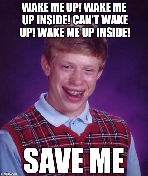 Bad Luck Brian Meme | WAKE ME UP! WAKE ME UP INSIDE! CAN'T WAKE UP! WAKE ME UP INSIDE! SAVE ME | image tagged in memes,bad luck brian | made w/ Imgflip meme maker