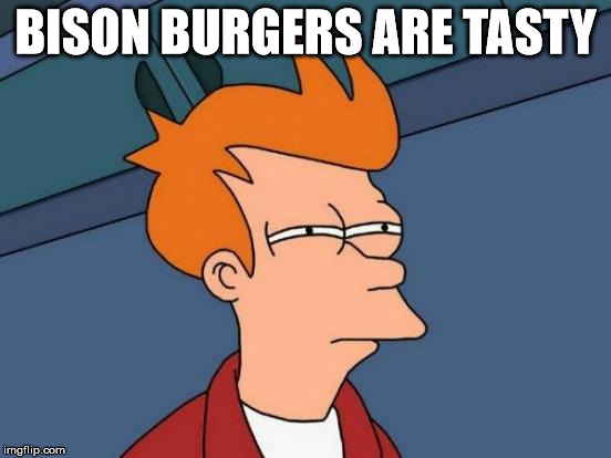 Futurama Fry Meme | BISON BURGERS ARE TASTY | image tagged in memes,futurama fry | made w/ Imgflip meme maker