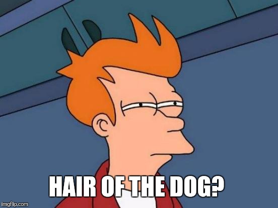 Futurama Fry Meme | HAIR OF THE DOG? | image tagged in memes,futurama fry | made w/ Imgflip meme maker