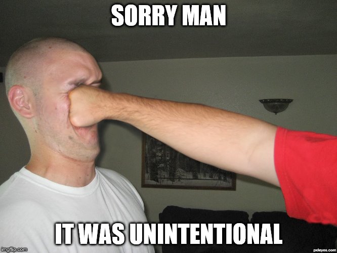 Face punch | SORRY MAN; IT WAS UNINTENTIONAL | image tagged in face punch | made w/ Imgflip meme maker
