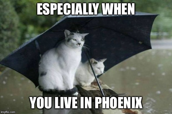 ESPECIALLY WHEN YOU LIVE IN PHOENIX | made w/ Imgflip meme maker