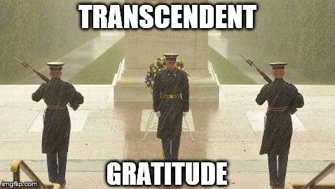 Arlington  Remembers... | TRANSCENDENT; GRATITUDE | image tagged in arlington  remembers,transcendent  gratitude | made w/ Imgflip meme maker