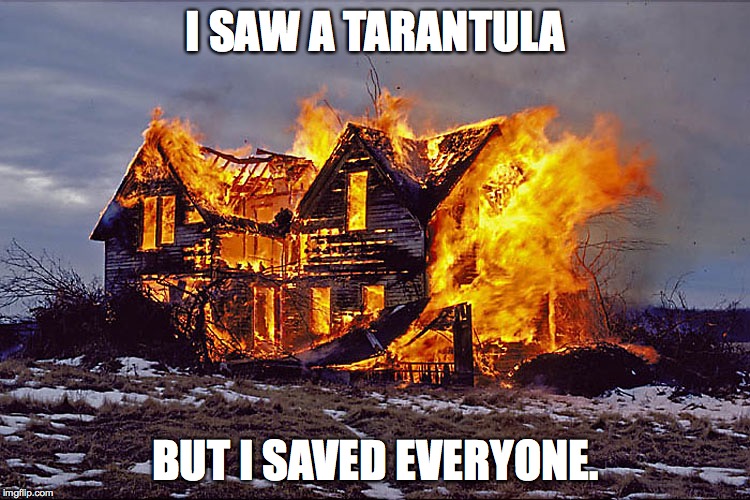 burning house | I SAW A TARANTULA; BUT I SAVED EVERYONE. | image tagged in burning house | made w/ Imgflip meme maker