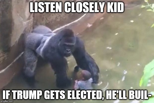THE WAL- | LISTEN CLOSELY KID; IF TRUMP GETS ELECTED, HE'LL BUIL- | image tagged in last moments of harambe,harambe,trump,wall,donald trump | made w/ Imgflip meme maker