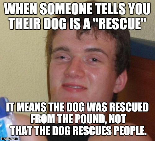 I'm such an idiot. I finally said something when someone told me their chihuahua was a rescue dog. | WHEN SOMEONE TELLS YOU THEIR DOG IS A "RESCUE"; IT MEANS THE DOG WAS RESCUED FROM THE POUND, NOT THAT THE DOG RESCUES PEOPLE. | image tagged in memes,10 guy | made w/ Imgflip meme maker