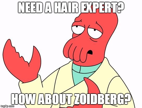 NEED A HAIR EXPERT? HOW ABOUT ZOIDBERG? | image tagged in zoidberg | made w/ Imgflip meme maker
