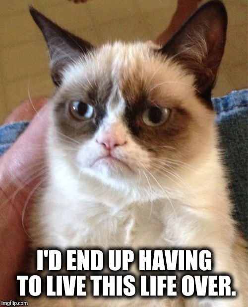 Grumpy Cat Meme | I'D END UP HAVING TO LIVE THIS LIFE OVER. | image tagged in memes,grumpy cat | made w/ Imgflip meme maker