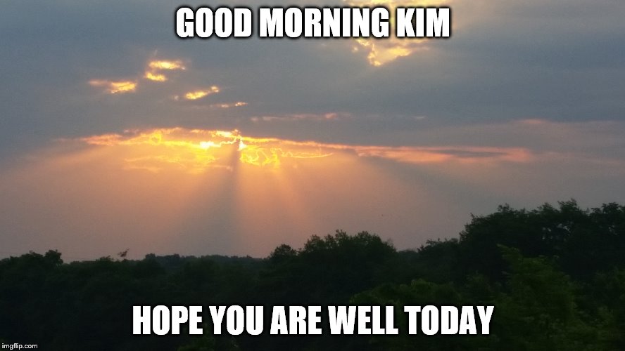 GOOD MORNING KIM; HOPE YOU ARE WELL TODAY | made w/ Imgflip meme maker