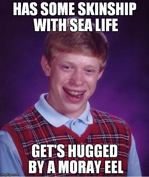 Under the sea! Under the seeeea! Under th-th-th-th-th-th... | HAS SOME SKINSHIP WITH SEA LIFE; GET'S HUGGED BY A MORAY EEL | image tagged in memes,bad luck brian | made w/ Imgflip meme maker