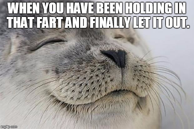 Satisfied Seal | WHEN YOU HAVE BEEN HOLDING IN THAT FART AND FINALLY LET IT OUT. | image tagged in memes,satisfied seal | made w/ Imgflip meme maker