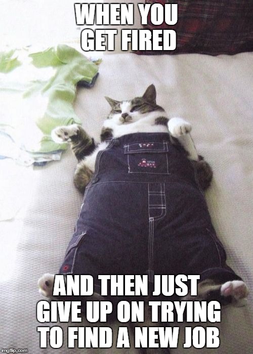Fat Cat Meme | WHEN YOU GET FIRED; AND THEN JUST GIVE UP ON TRYING TO FIND A NEW JOB | image tagged in memes,fat cat | made w/ Imgflip meme maker