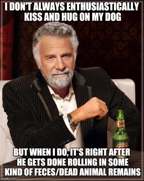 The Most Interesting Man In The World Meme | I DON'T ALWAYS ENTHUSIASTICALLY KISS AND HUG ON MY DOG; BUT WHEN I DO, IT'S RIGHT AFTER HE GETS DONE ROLLING IN SOME KIND OF FECES/DEAD ANIMAL REMAINS | image tagged in memes,the most interesting man in the world | made w/ Imgflip meme maker