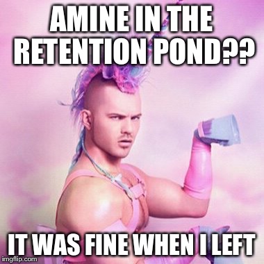 Unicorn MAN | AMINE IN THE RETENTION POND?? IT WAS FINE WHEN I LEFT | image tagged in memes,unicorn man | made w/ Imgflip meme maker