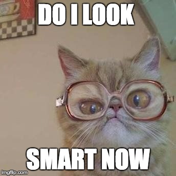Funny Cat with Glasses - Imgflip