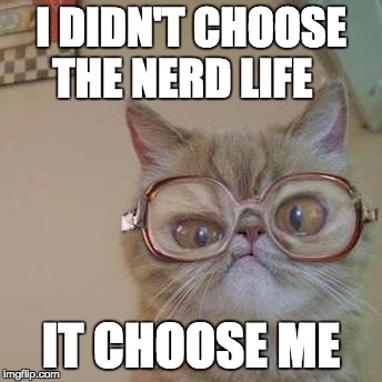 Funny Cat with Glasses | I DIDN'T CHOOSE THE NERD LIFE; IT CHOOSE ME | image tagged in funny cat with glasses | made w/ Imgflip meme maker