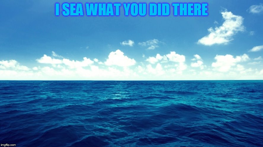 I SEA WHAT YOU DID THERE | made w/ Imgflip meme maker