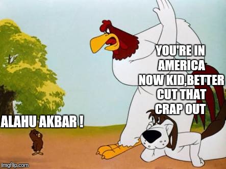 Гμ©$! ! Multiculturalism | YOU'RE IN AMERICA NOW KID,BETTER CUT THAT CRAP OUT; ALAHU AKBAR ! | image tagged in rooster | made w/ Imgflip meme maker