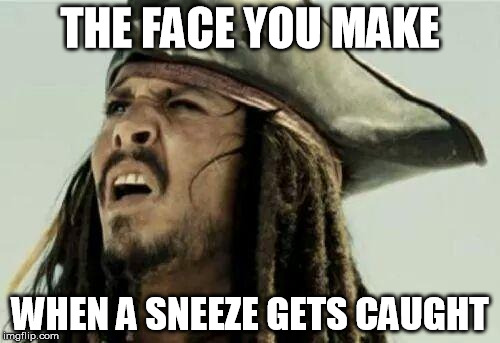 The face you make | THE FACE YOU MAKE; WHEN A SNEEZE GETS CAUGHT | image tagged in the face you make | made w/ Imgflip meme maker