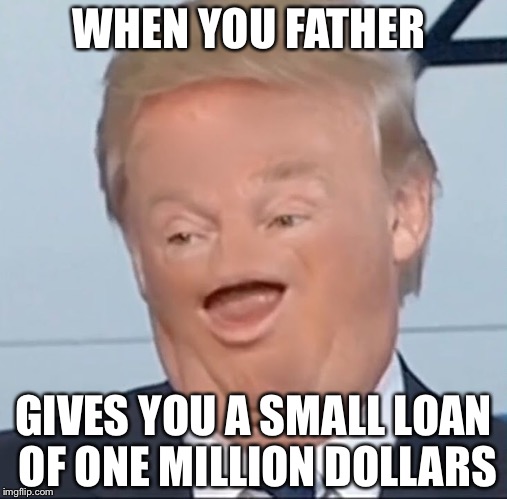 Oooooh money | WHEN YOU FATHER; GIVES YOU A SMALL LOAN OF ONE MILLION DOLLARS | image tagged in donald trump | made w/ Imgflip meme maker